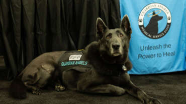 National Defense Industrial Association, Michigan Chapter 2025 MDEX event